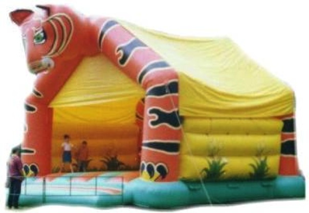 sydney jumping castle hire